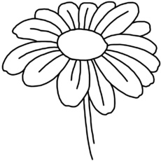 blume1.jpg